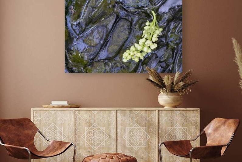 Big Leaf Maple Flower Cowichan Valley Vancouver Island British Columbia Canada by Kevin Oke