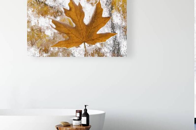 KO 45955 1 by Kevin Oke