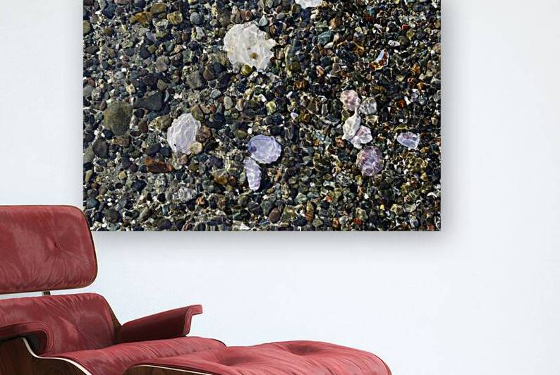 Detail image of rocks and shells on the beach by Kevin Oke