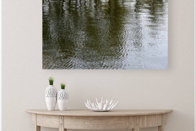 Trees reflected in the ocean by Kevin Oke