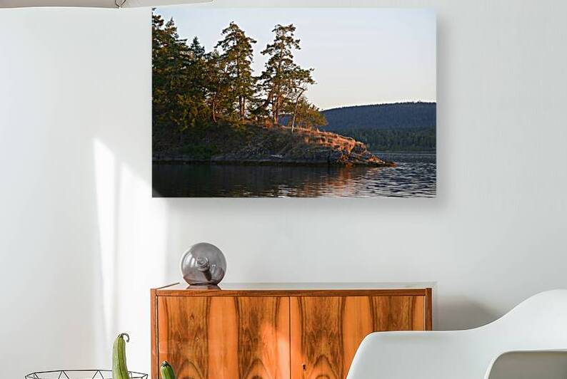 Arbutus and fir trees on the point at Conover Cove by Kevin Oke