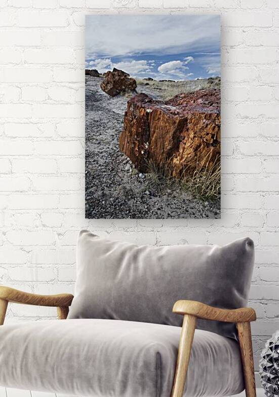 KO A98145 by Kevin Oke