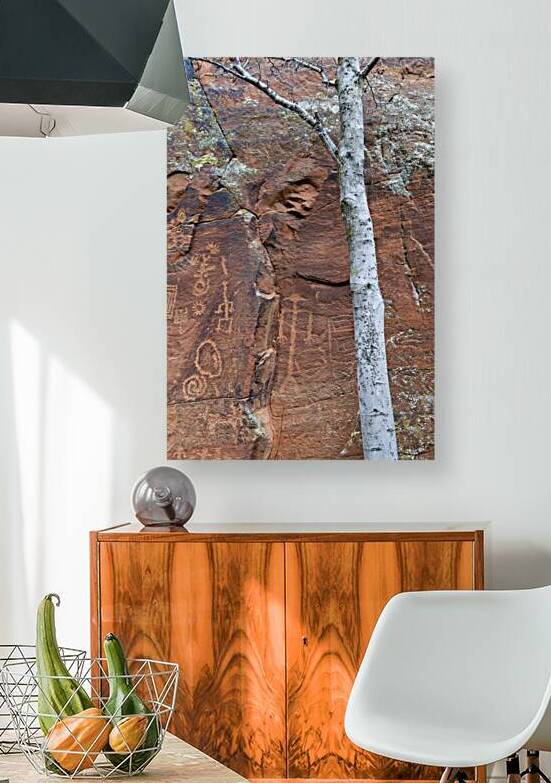 Ancient petroglyphs showcasing animal figures and geometric designs Crane Petroglyph Site Verde Valley Arizona by Kevin Oke