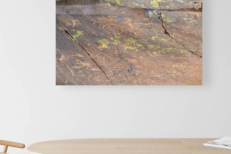 Ancient petroglyphs showcasing animal figures and geometric designs Crane Petroglyph Site Verde Valley Arizona by Kevin Oke