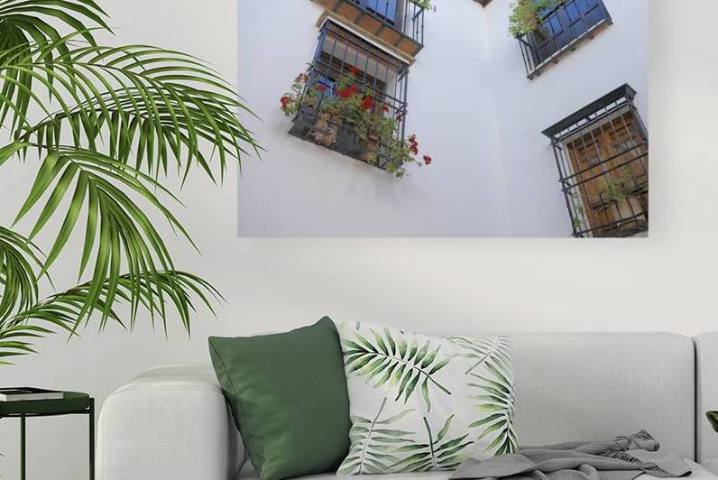 Windows with potted plants  Mondragons Palace Ronda Málaga Andalusia Spain by Kevin Oke